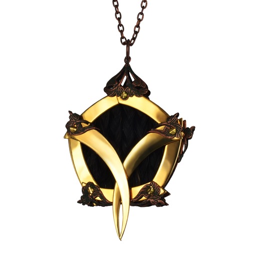 Gold Pentagon Cage Black Horsehair Medallion