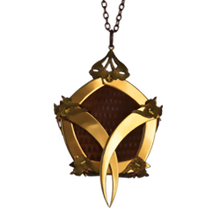 Gold Pentagon Cage Lizard Skin Medallion