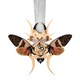 Gold Horn Cicada Necklace