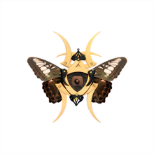 Gold Butterfly Shuriken Brooch